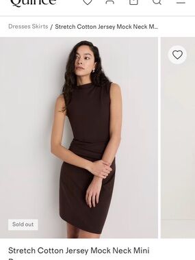 Quince Sleeveless Mock Neck Mini Dress — Espresso